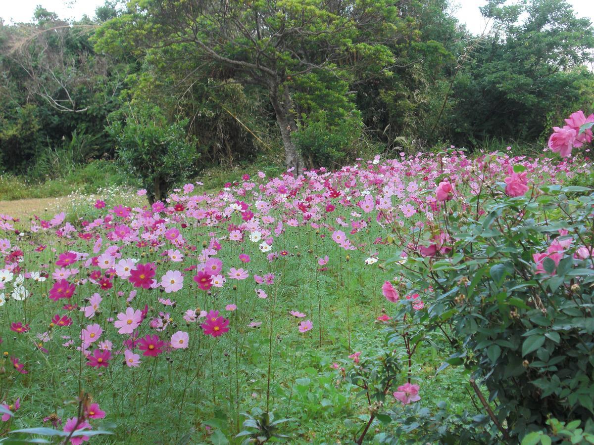 Matayoshi Coffee Farm Villa Higashi Exterior photo