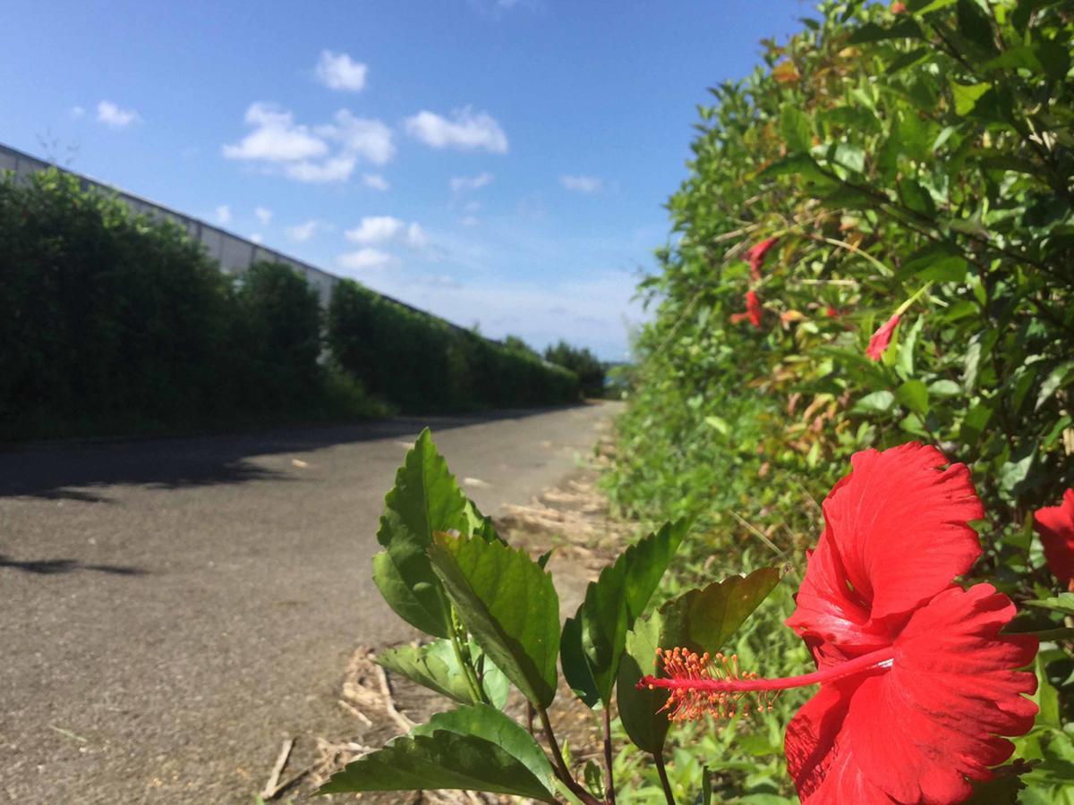 Matayoshi Coffee Farm Villa Higashi Exterior photo